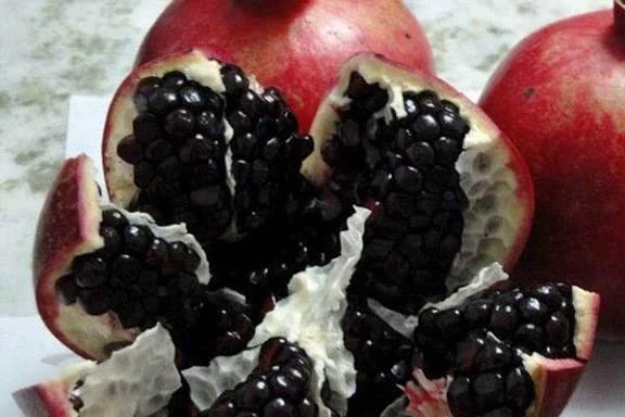 نهال انار دانه سیاه