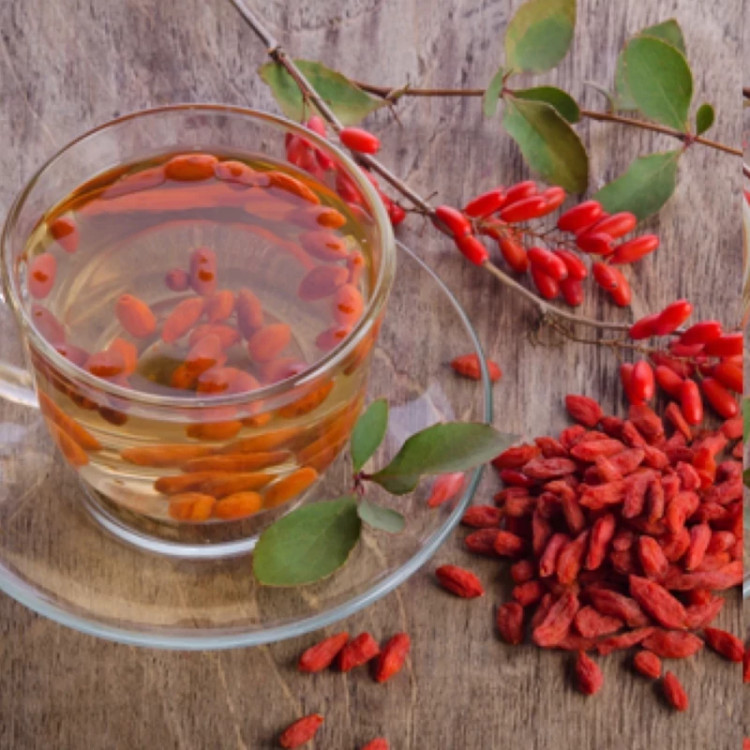 نهال گوجی بری چینی - افرا نهال