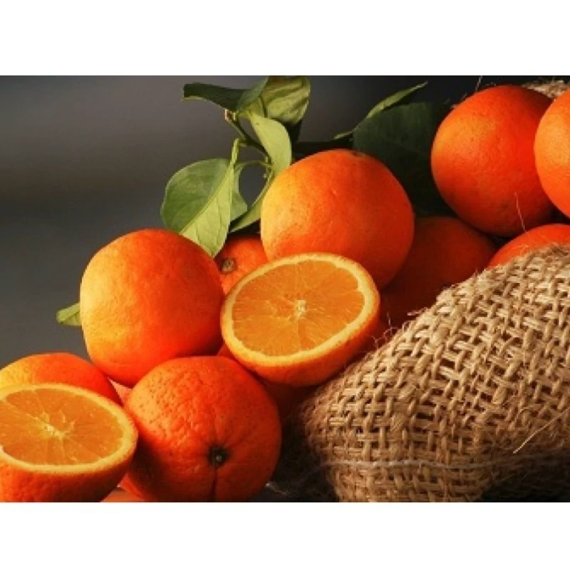 نهال نارنج درشت
