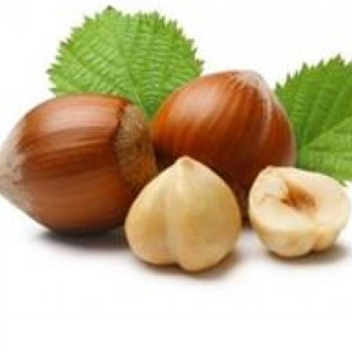 نهال فندق