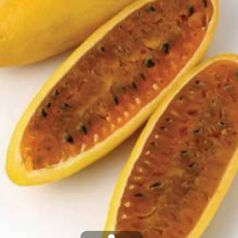 نهال پشن فروت موزی