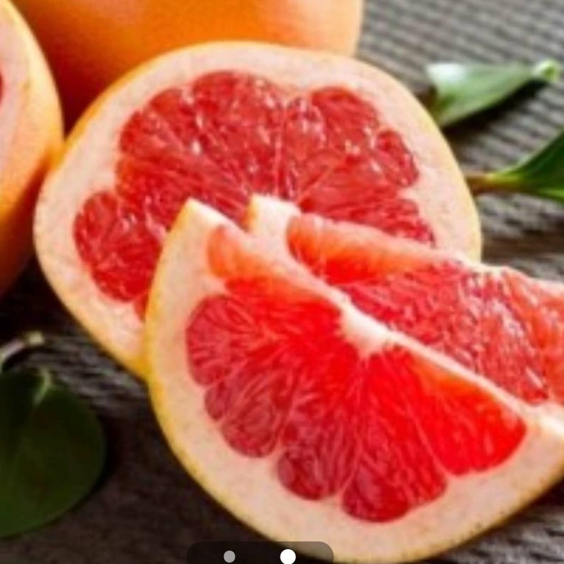 نهال گریپ فروت خونی