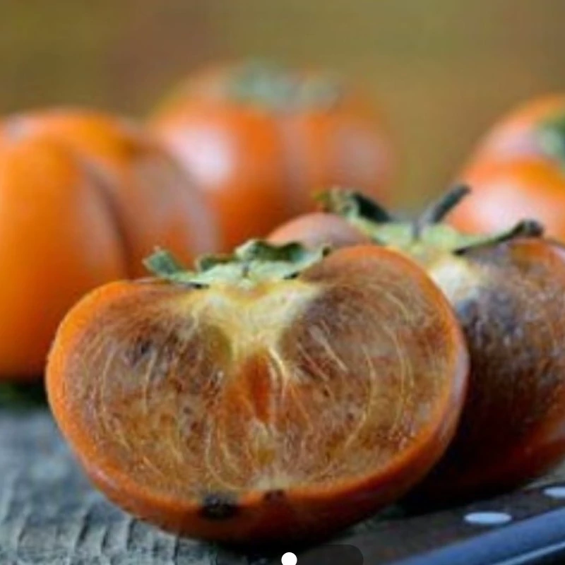 نهال خرمالو شکلاتی
