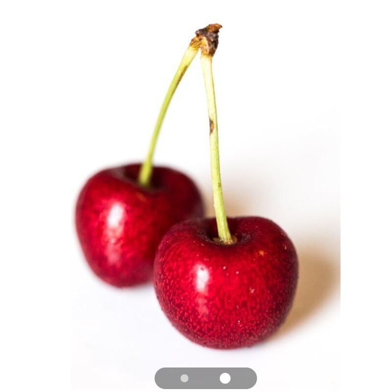 نهال گیلاس