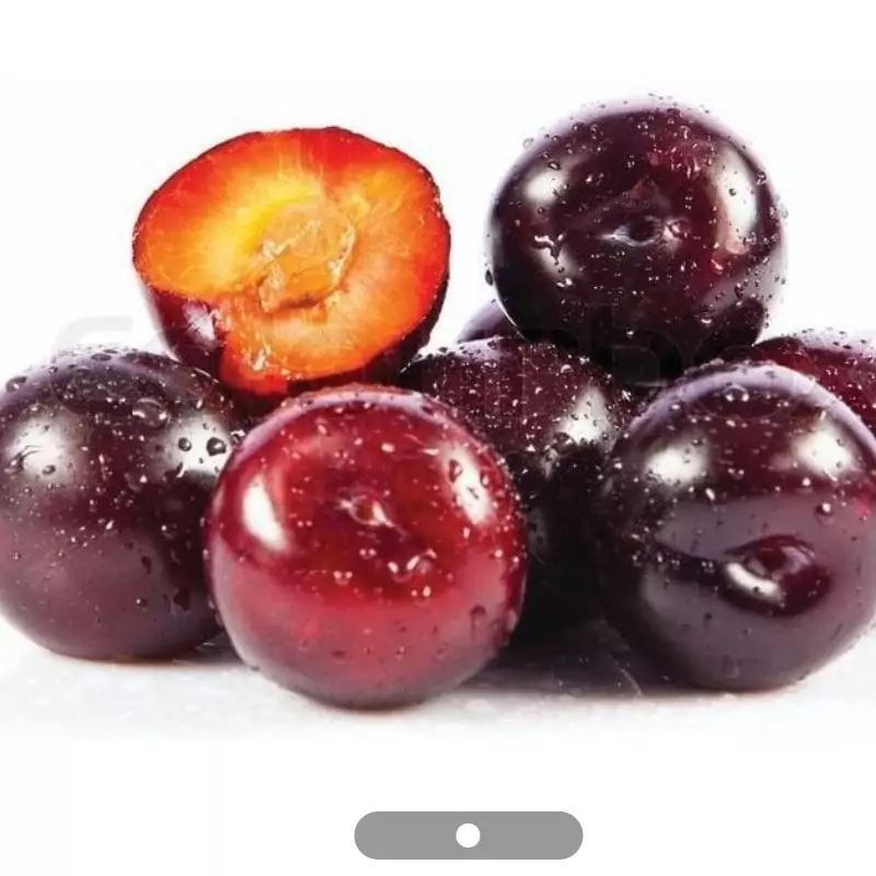 نهال الو قرمز