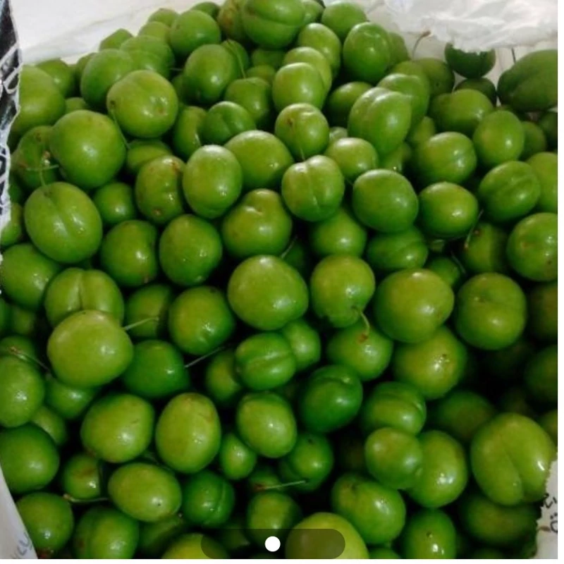 نهال الوچه سبز