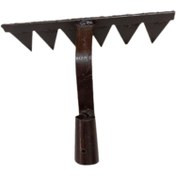 علف زن چنگکی