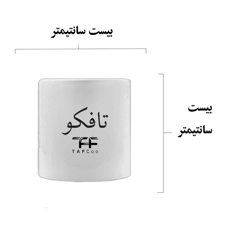 گیاه طبیعی مانسترا تافکو مدل پنجه شیری کد 3x