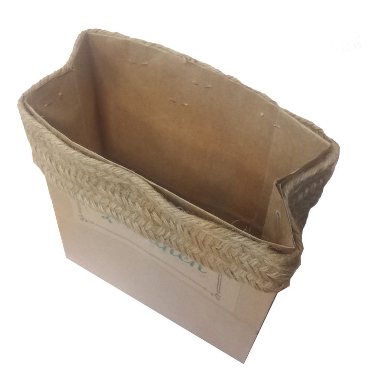 گیاه طبیعی فیکوس کدP.A.08