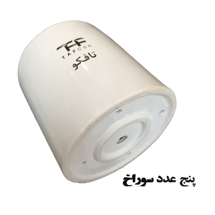 گل طبیعی آگلونما برفی تافکو کد 2025