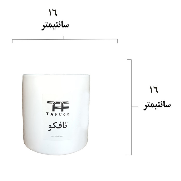 گل طبیعی آگلونما برفی تافکو کد 2025