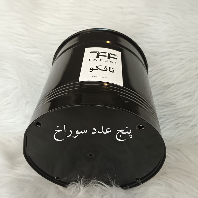 گل طبیعی فیکوس لیراتا آفریقایی تافکو کد 2023