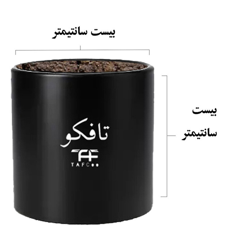 گل طبیعی فیلودندرون تافکو کد 2x