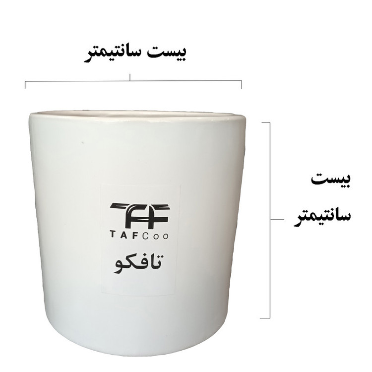 گیاه طبیعی فیلودندرون پرتغالی تافکو مدل شاهزاده کد 2x