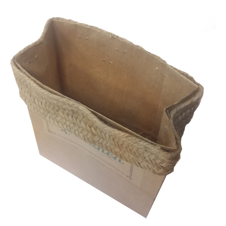 گیاه طبیعی پوتوس کدA.P.01