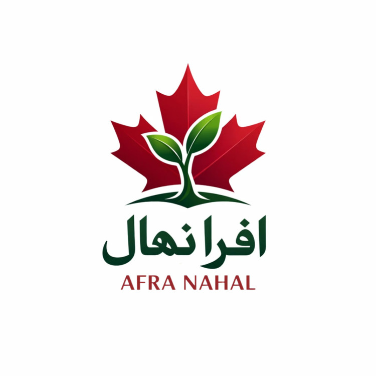 گل طبیعی کریپتانتوس تافکو مدل s1